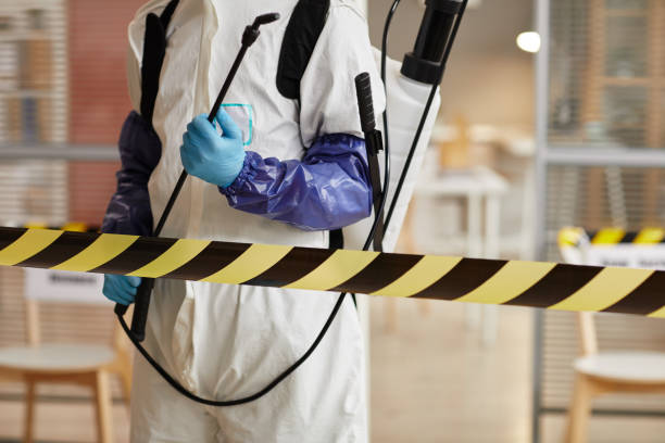 Professional Hoarding Cleanup technician working in Port Aransas, TX